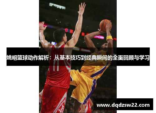 姚明篮球动作解析：从基本技巧到经典瞬间的全面回顾与学习
