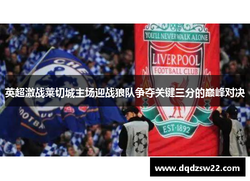 英超激战莱切城主场迎战狼队争夺关键三分的巅峰对决